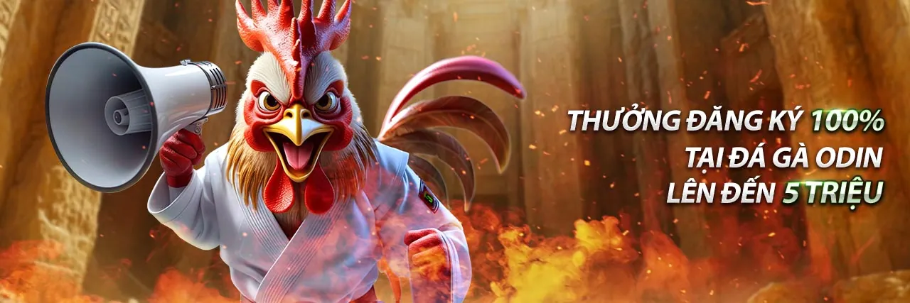 Đá gà trực tuyến tại SIN88 WIN